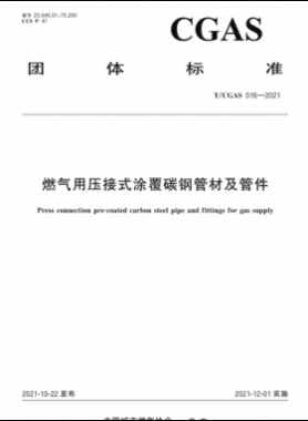 燃?xì)庥脡航邮酵扛蔡间摴懿募肮芗F體標(biāo)準(zhǔn)S 016-2021