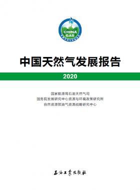2020中國(guó)天然氣發(fā)展報(bào)告（含2017、2018、2019、2020）